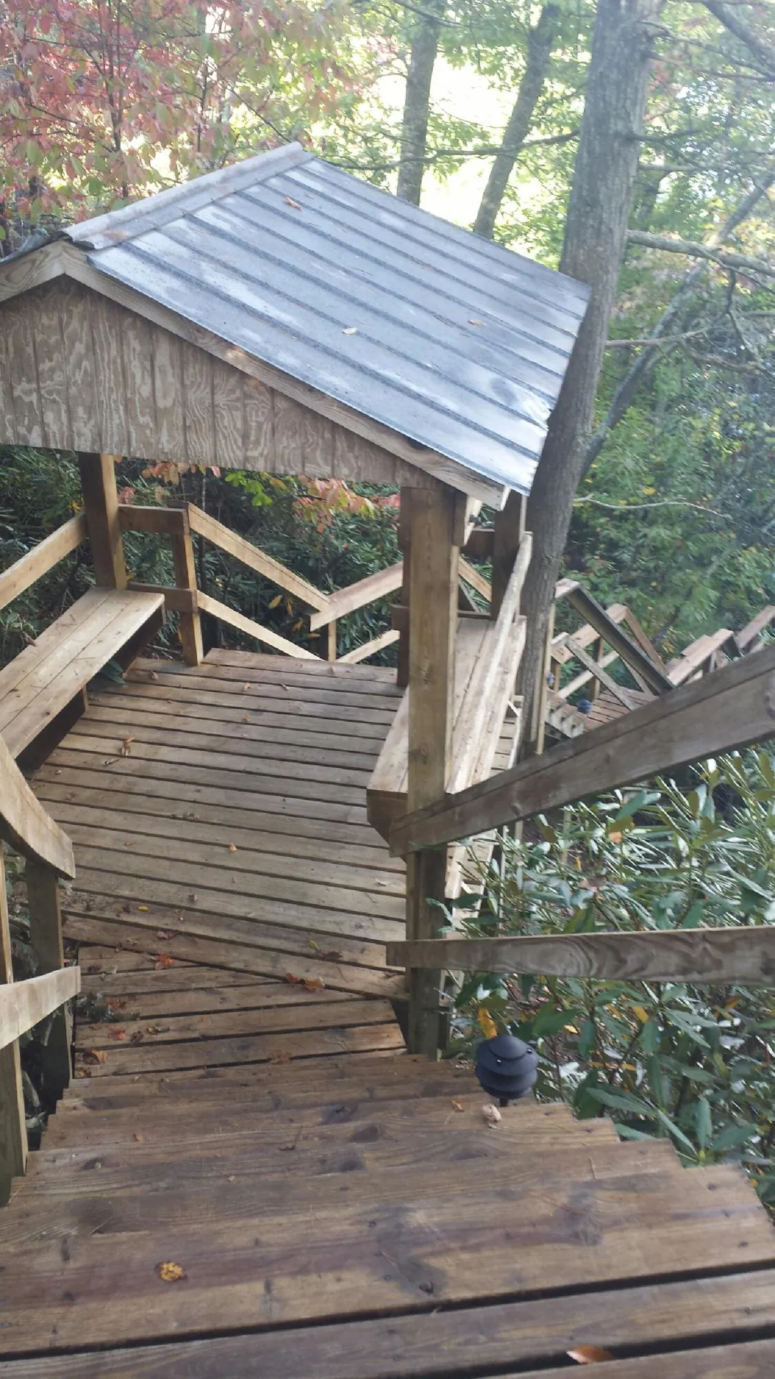 Metal roofed shelter over wooden steps on a wooded walkway — Skylight Repair & Installation work by our crew in Fraser