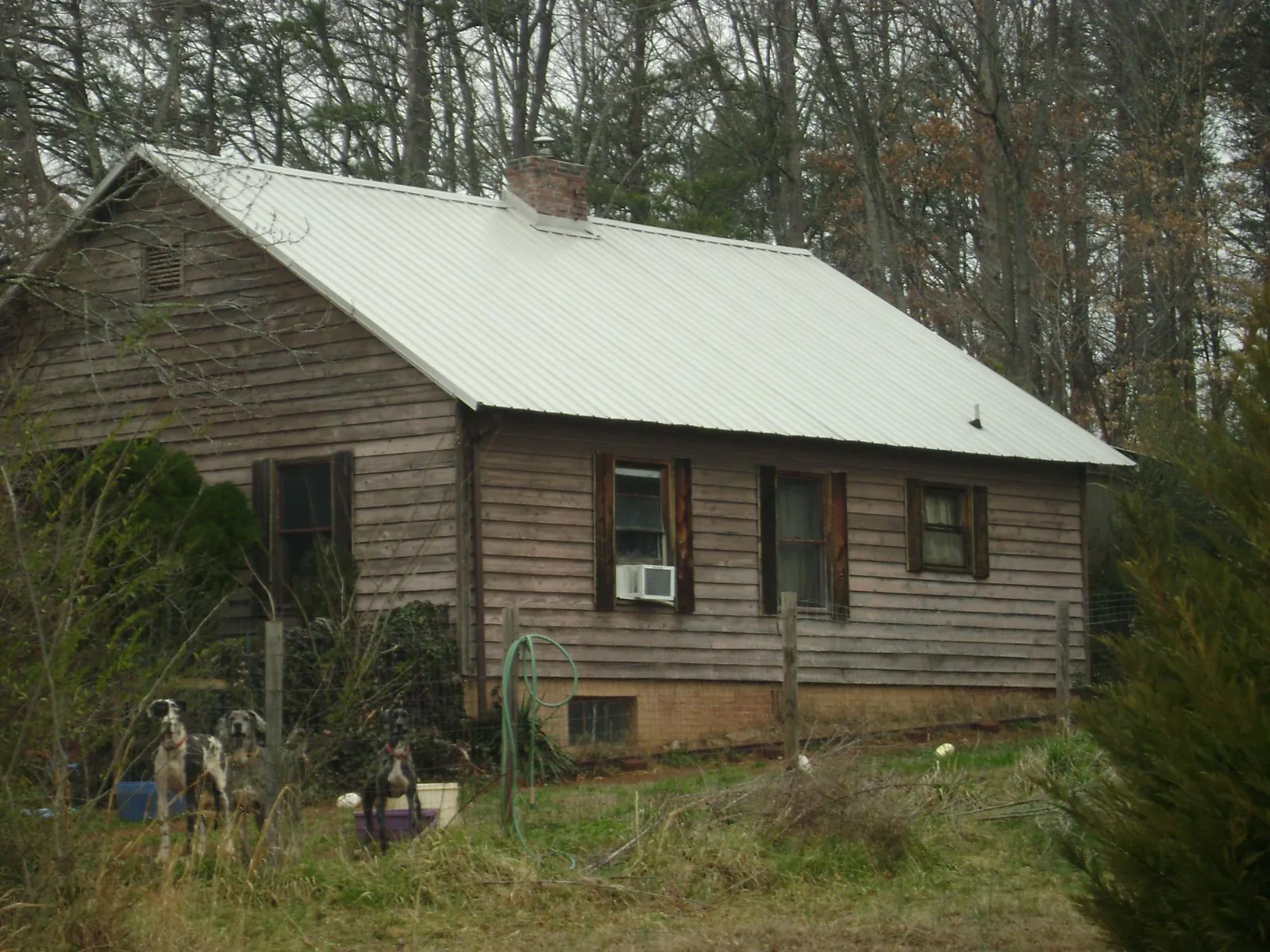 White metal roof on an old wood sided farmhouse, from a Metal Roof Installation job in Fraser